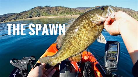 Lake Berryessa Bass Fishing Youtube