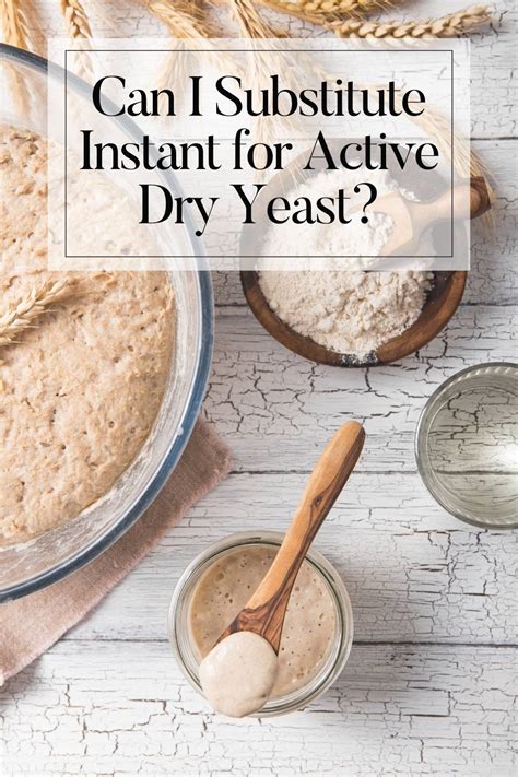 Can I Substitute Instant Yeast For Active Dry Yeast Yeast Series