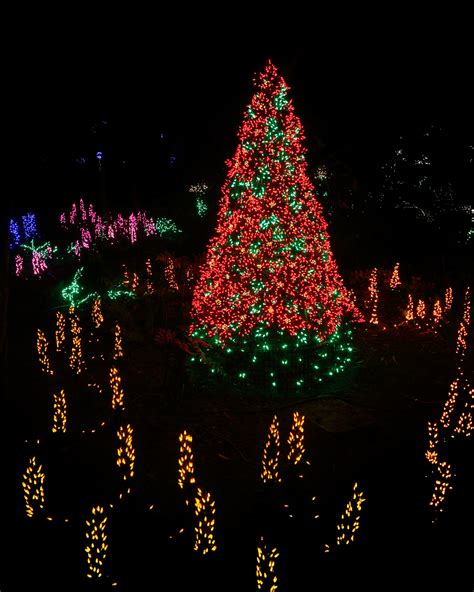 GARDEN d’LIGHTS - Bellevue Botanical Garden