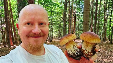 Poland Is Beautiful Quick Mushroom Picking Youtube