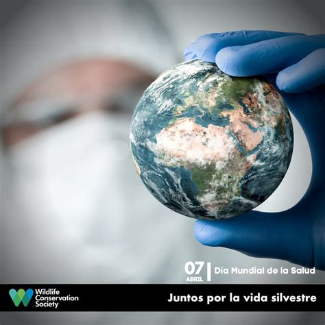 Declaración De Wcs Día Mundial De La Salud 2022 Nuestro Planeta