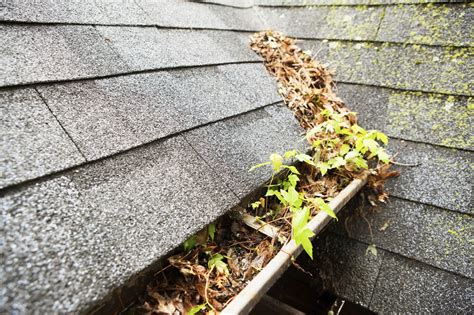 Phils Main Roofing How To Prepare Your Gutters For Fall