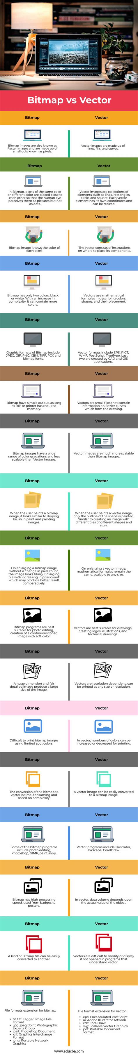 Bitmap vs Vector | 17 Amazing Comparisons of Raster vs Vector