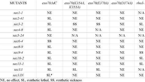 Table 2 From An Internal Domain Of Exo70p Is Required For Actin