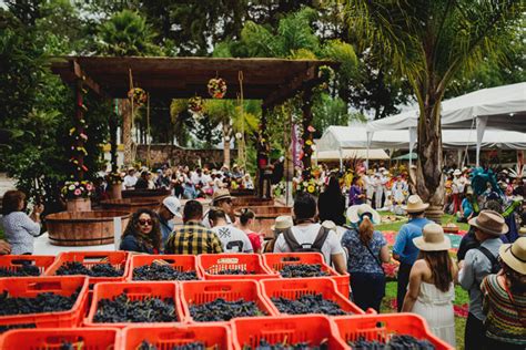 Vendimias En Quer Taro De Vuelta La Fiesta Con Las Mejores