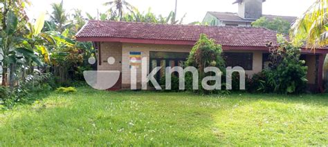 20 Perch Land For Sale Panadura Ikman