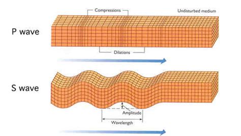 Two Types of Seismic Waves | Seth Stein