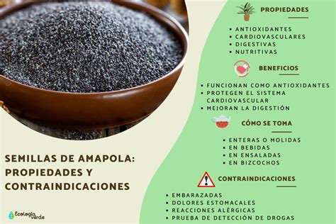 Flor De Amapola Discover Its Uses And More Here