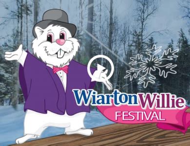 Wiarton Willie’s Official prediction – An EARLY Spring | Saugeen Times