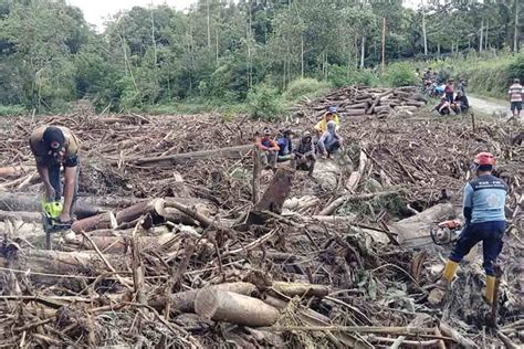 Kebun Jeruk Milik Warga Terendam Lumpur Akibat Banjir Bandang Di Malang