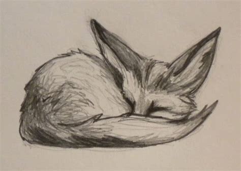 Fennec Fox Doodle Art Sketches