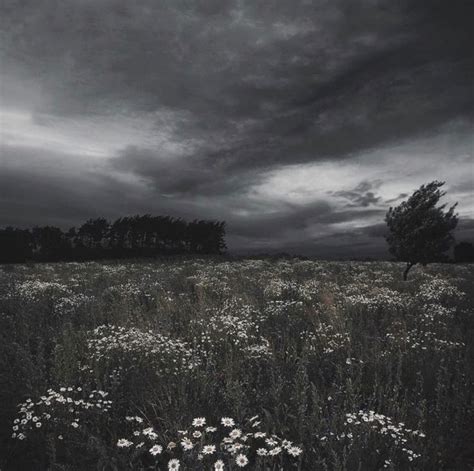 Gloomy Fields Scenery Sky Nature