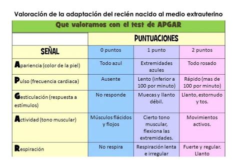 Valoración de la adaptación del recién nacido al medio extrauterino