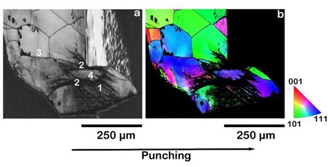 Band Contrast A And Inverse Pole Figure B Ebsd Maps Of The Cross
