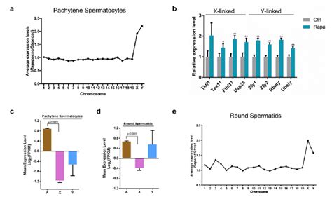 Transcriptional Upregulation Of Sex Chromosome Linked Genes In