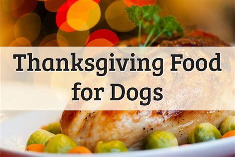 Foods Your Dog Can And Cannot Eat On Thanksgiving 2022