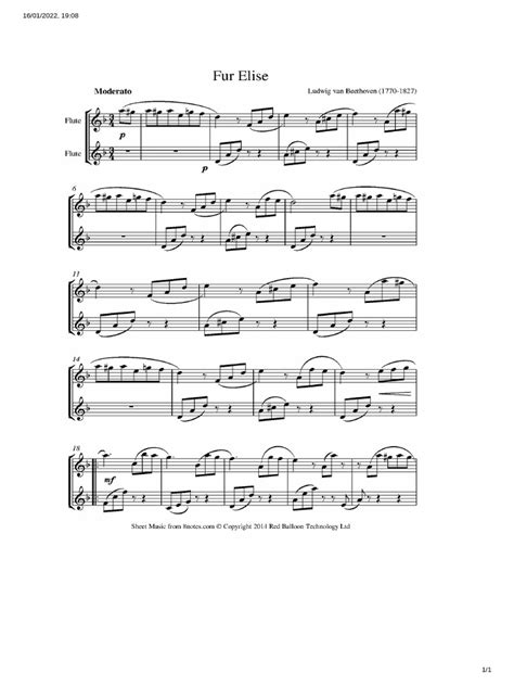 Fur Elise Flute Duet | PDF