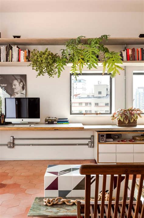 Samambaia Como Cuidar e 60 Ideias de Decoração a Planta