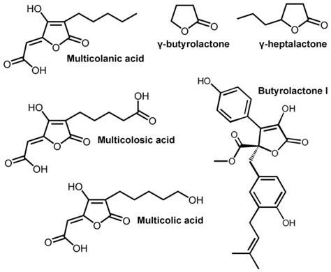 Biomolecules Free Full Text Enzymes With Lactonase Activity Against