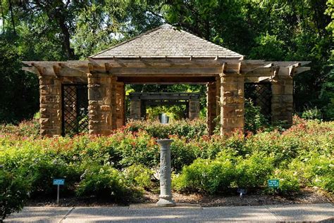 Fort Worth Botanic Gardens: Everything You Need to Know | Plantly