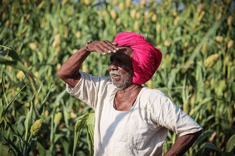 Farmer Essay Javatpoint