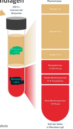 Medizin Blut Immunologie Karteikarten Quizlet