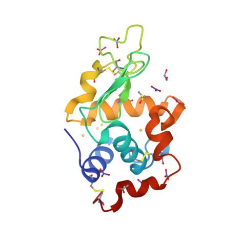 Rcsb Pdb 6sex X Ray Structure Of The Goldlysozyme Adduct Formed Upon 21h Exposure Of Protein