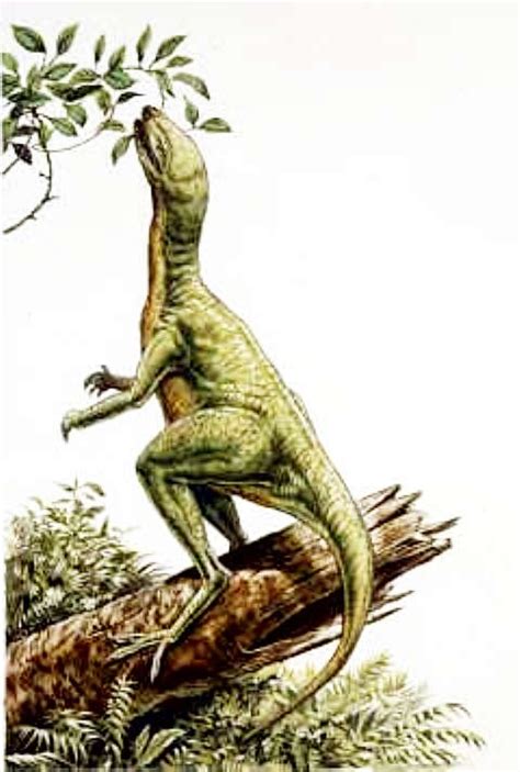 Parksosaurus Pictures & Facts - The Dinosaur Database