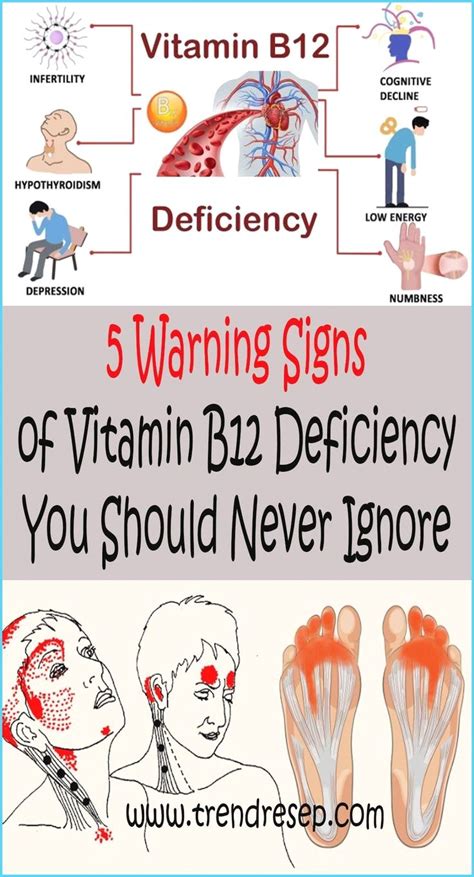 5 Symptoms Of Vitamin B Deficiency Care For Health Vitamin B