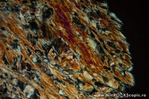 Chlorite Thin Section Phyllosilicates Microckscopic