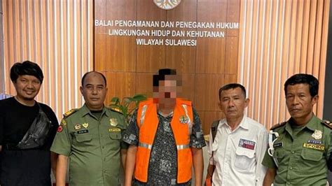 Gakkum Klhk Sulawesi Tetapkan Tersangka Donatur Lahan Ilegal