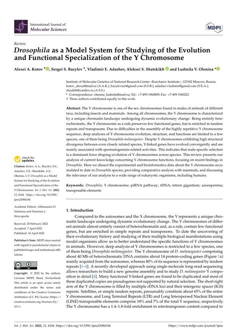 PDF Drosophila As A Model System For Studying Of The Evolution And