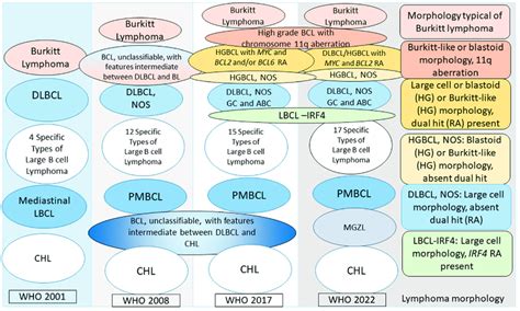 Evolution Of The Current Classification Of Large B Cell Lymphomas In