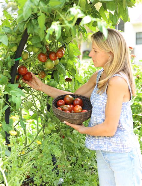 Complete Guide To Using Trellises In The Kitchen Garden Gardenary