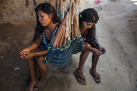 Estado Brasileiro Conivente A Viol Ncia Contra Defensores Da