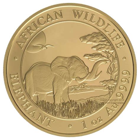 Ankauf Somalia Elephant 2019 Goldmünze 1 Unze oz Aschhoff Edelmetalle