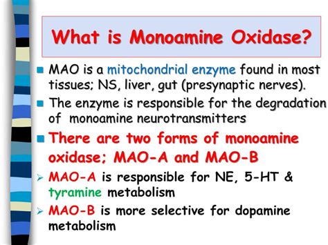 PPT - Monoamine Oxidase Inhibitors PowerPoint Presentation, free ...