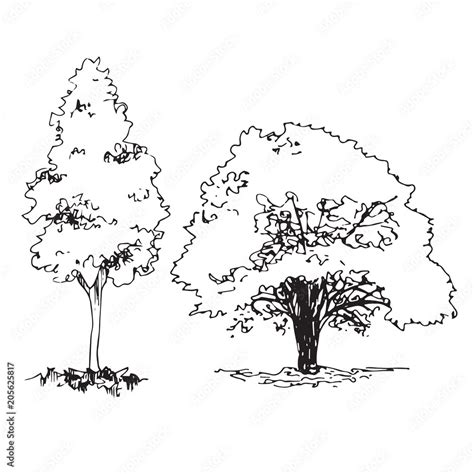 Set of hand drawn architect trees, sketch tree silhouette Stock Vector | Adobe Stock