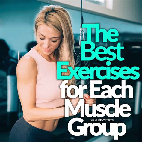 The Best Exercises For Each Muscle Group