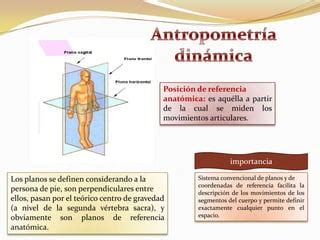 Antropometria Est Tica Y Din Mica Ppt