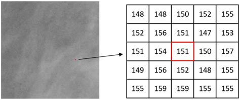 A Local Region 200 × 200 Pixels In One Mammogram And The Central Download Scientific Diagram