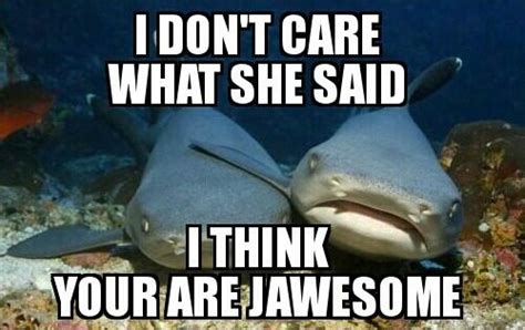 Shark Puns – Punpedia