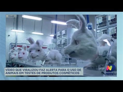 Vídeo que viralizou faz alerta para o uso de animais em testes de