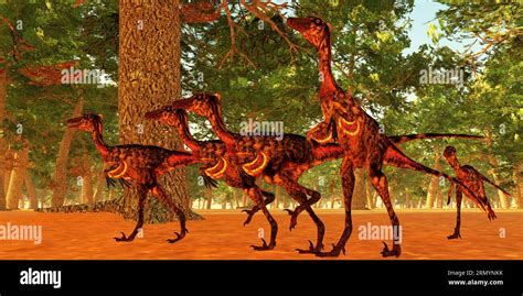 Carnivorous Small Dinosau Hi Res Stock Photography And Images Alamy