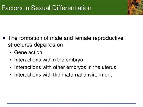 Ppt Chp Development And Sex Determination The Human