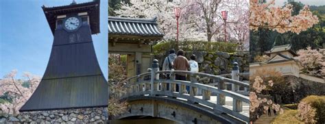 Cherry Blossom Tour (with Private Car and English Guide) - Visit Kinosaki