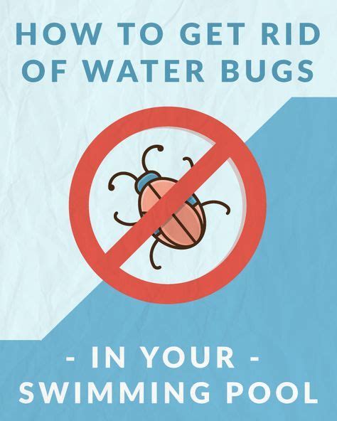 How To Get Rid Of Water Bugs In Your Pool Swimming Pools Pool Sand