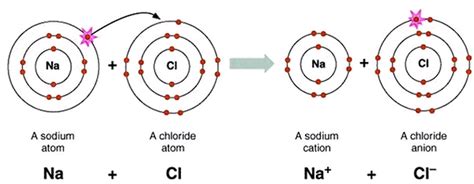 What is an ionic bond? | AmazingLife.Bio