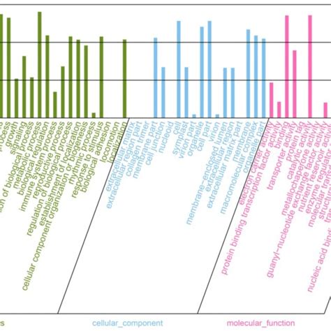 Gene Ontology Go Classification Of All Unigenes Results Are