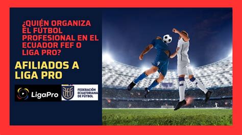 ¿quién Tiene La Potestad Para Organizar El Fútbol Profesional En El